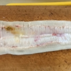 大穴子でふわっふわの煮穴子丼 レシピ 作り方 By なまらbuono 楽天レシピ 大穴子でふわっふわの煮穴子丼 レシピ 作り方 By なまらbuono 楽天レシピ